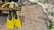 Bright yellow snorkeling gear, including fins and a snorkel set, is placed on a rustic wooden bench. The bench is situated on a sandy beach, with small green plants and twigs scattered around.