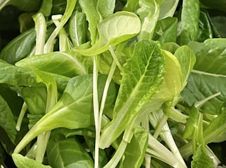 Close-up of vibrant green leafy vegetables in a basket
