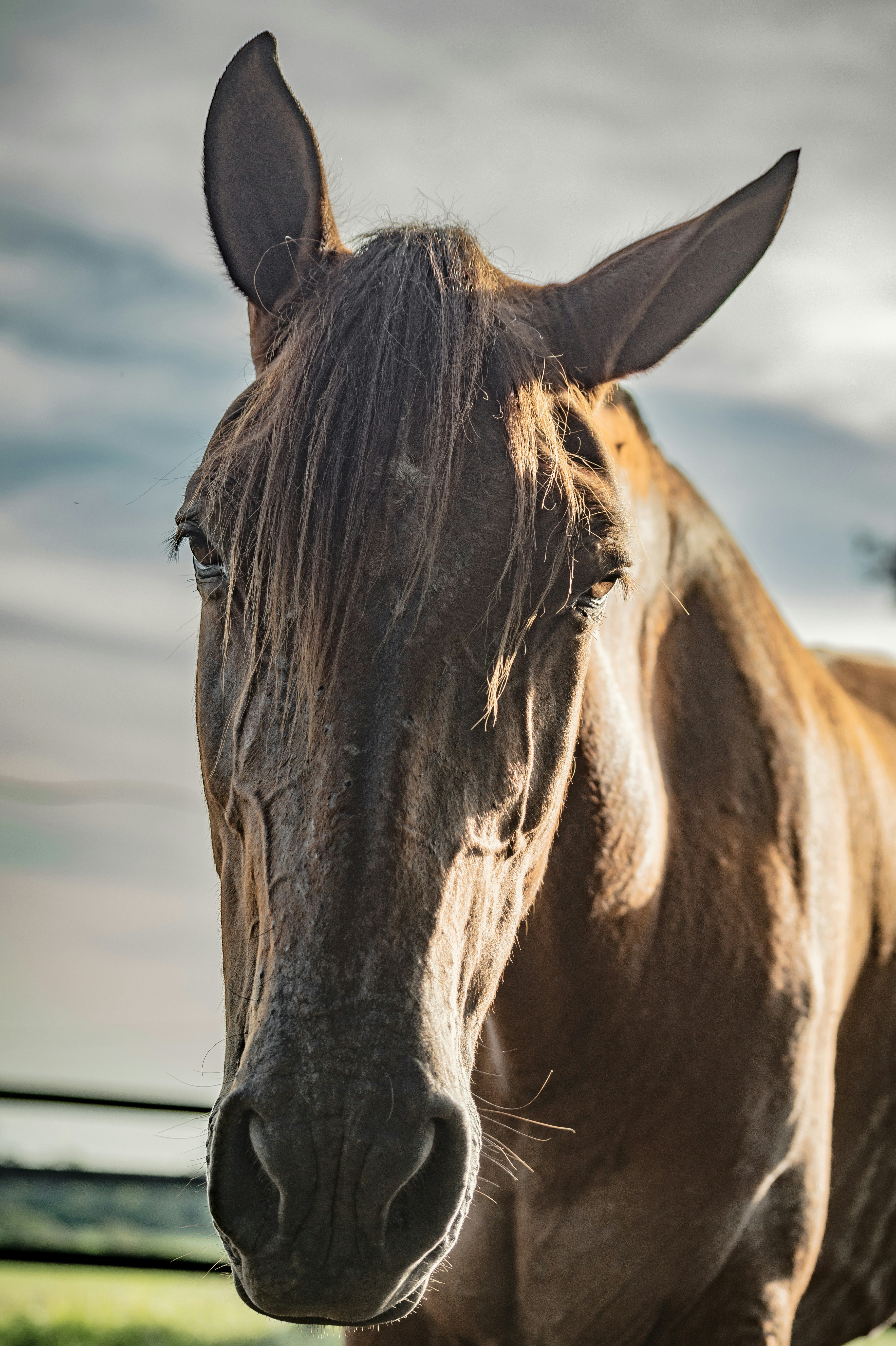 Photo by jmlopezrestrepo