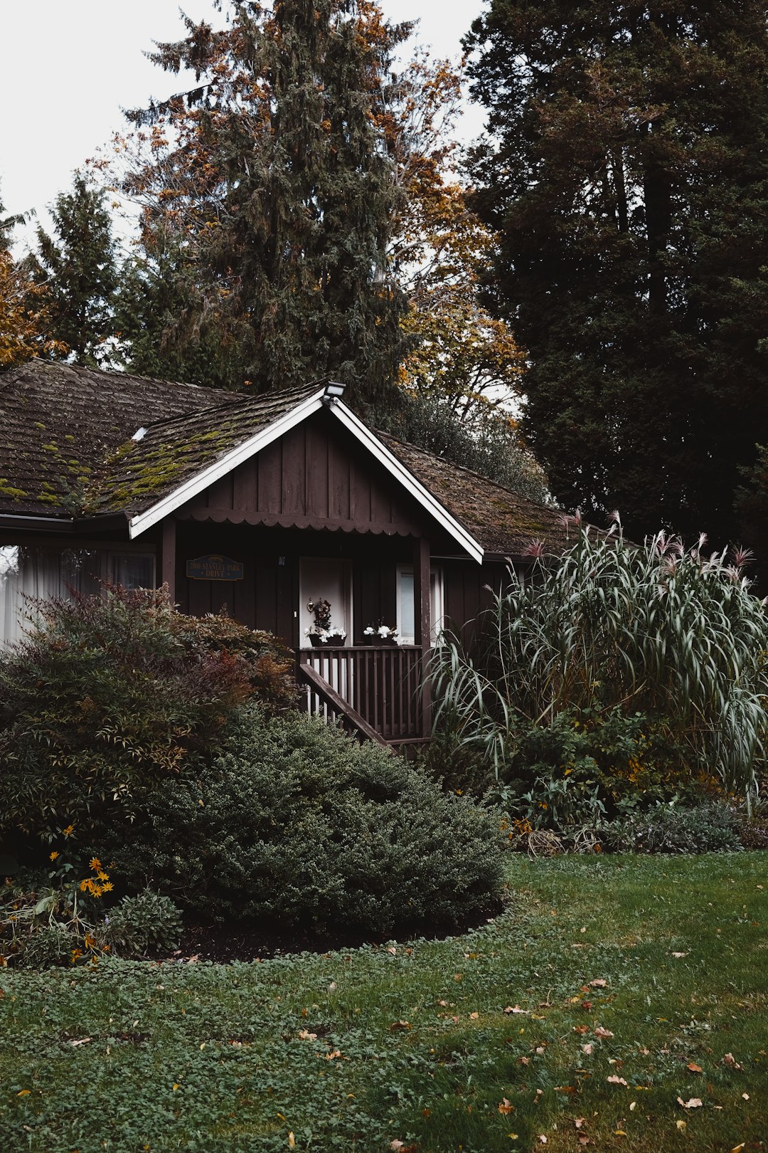 brown wooden house surrounded by green trees during daytime