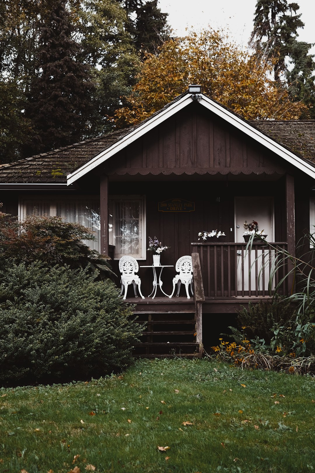 brown wooden house surrounded by green plants