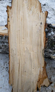 Close-up of smooth, freshly cut timber edges showing natural wood grain.