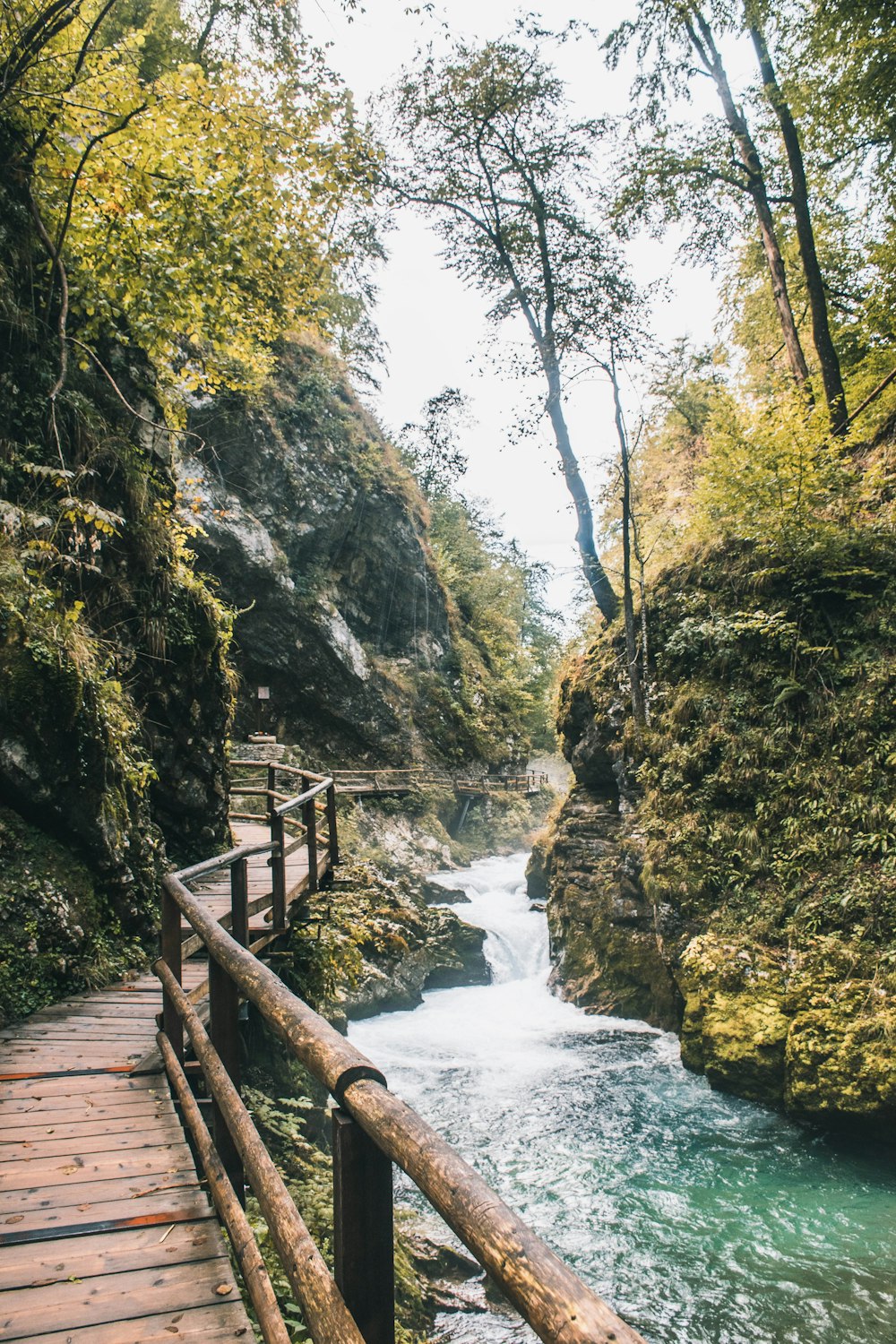 brown wooden bridge over river between green trees during daytime