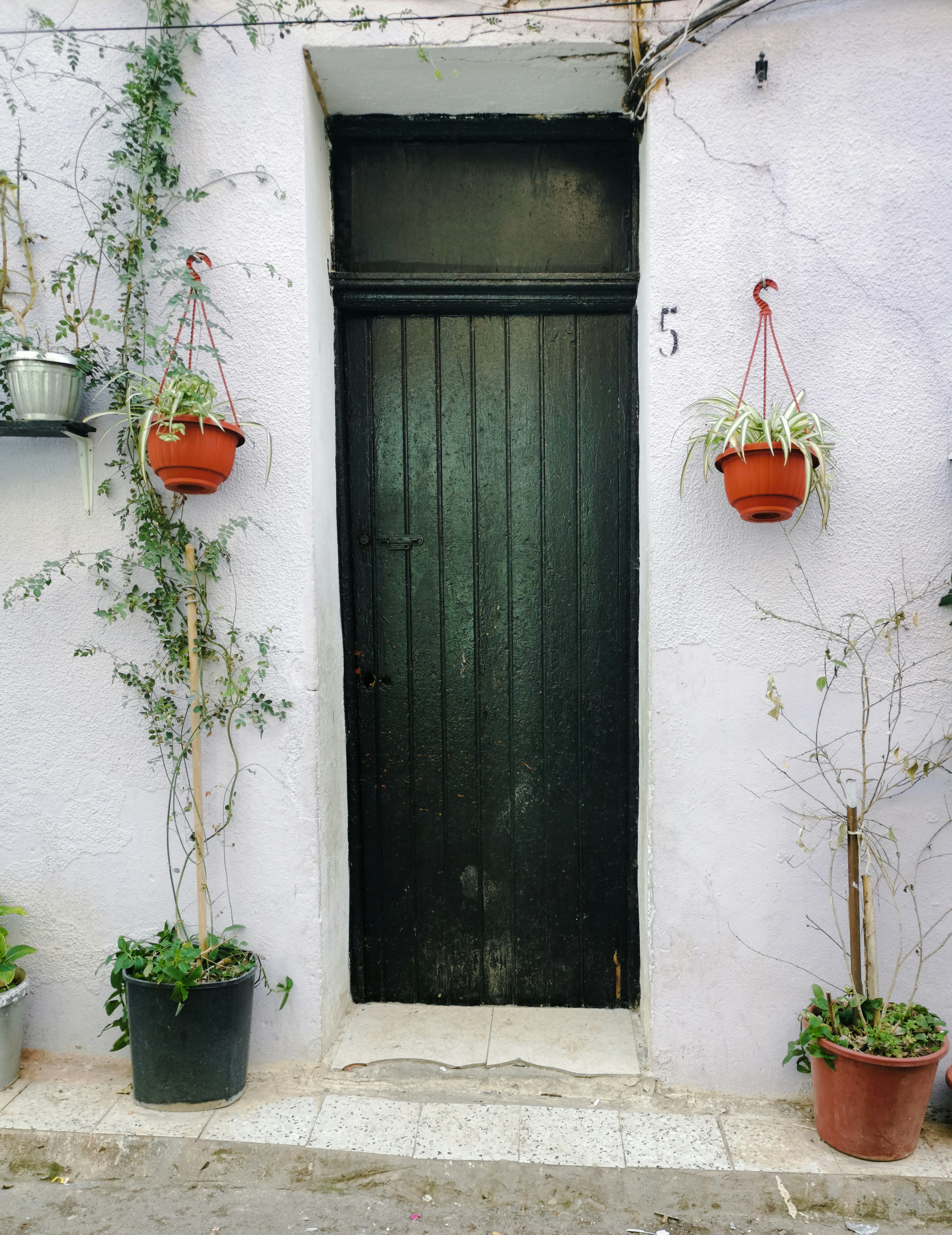 Photo by fethibenattallah