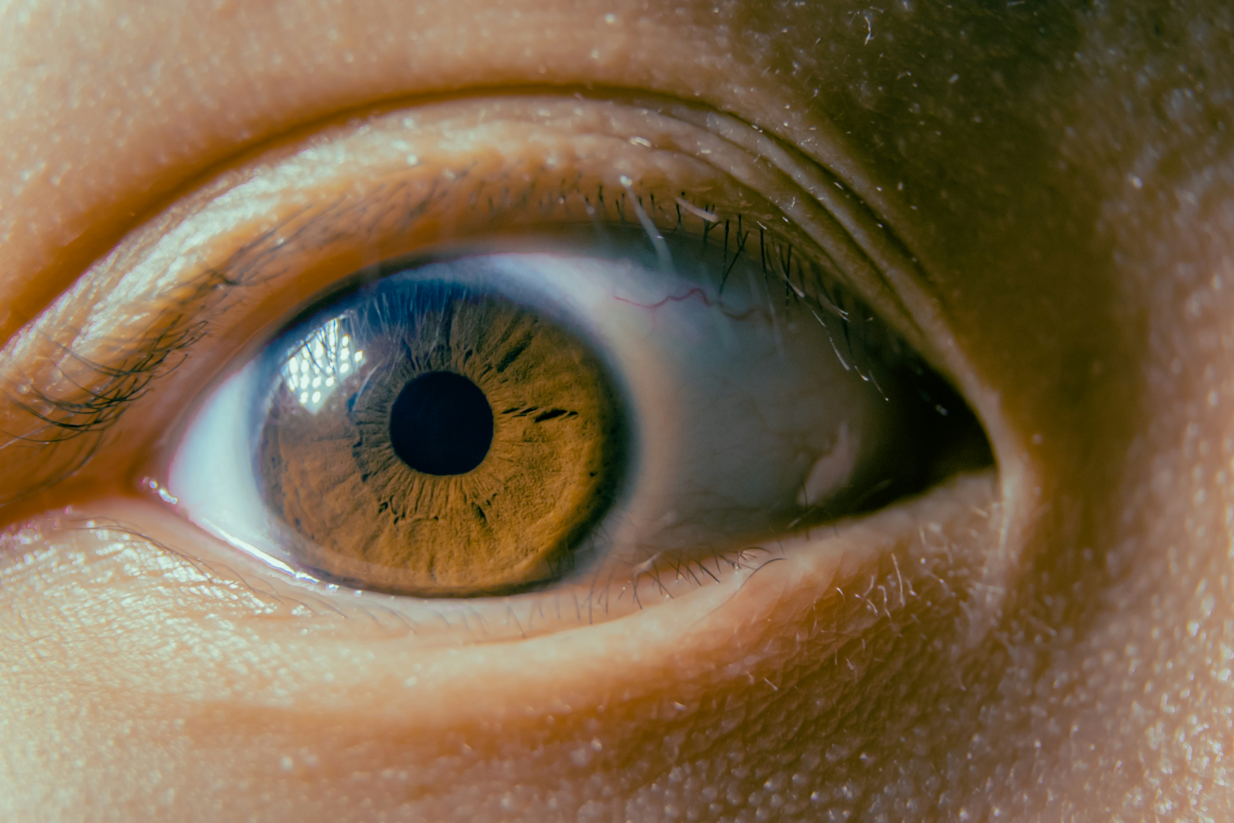 persons blue eyes in close up photography