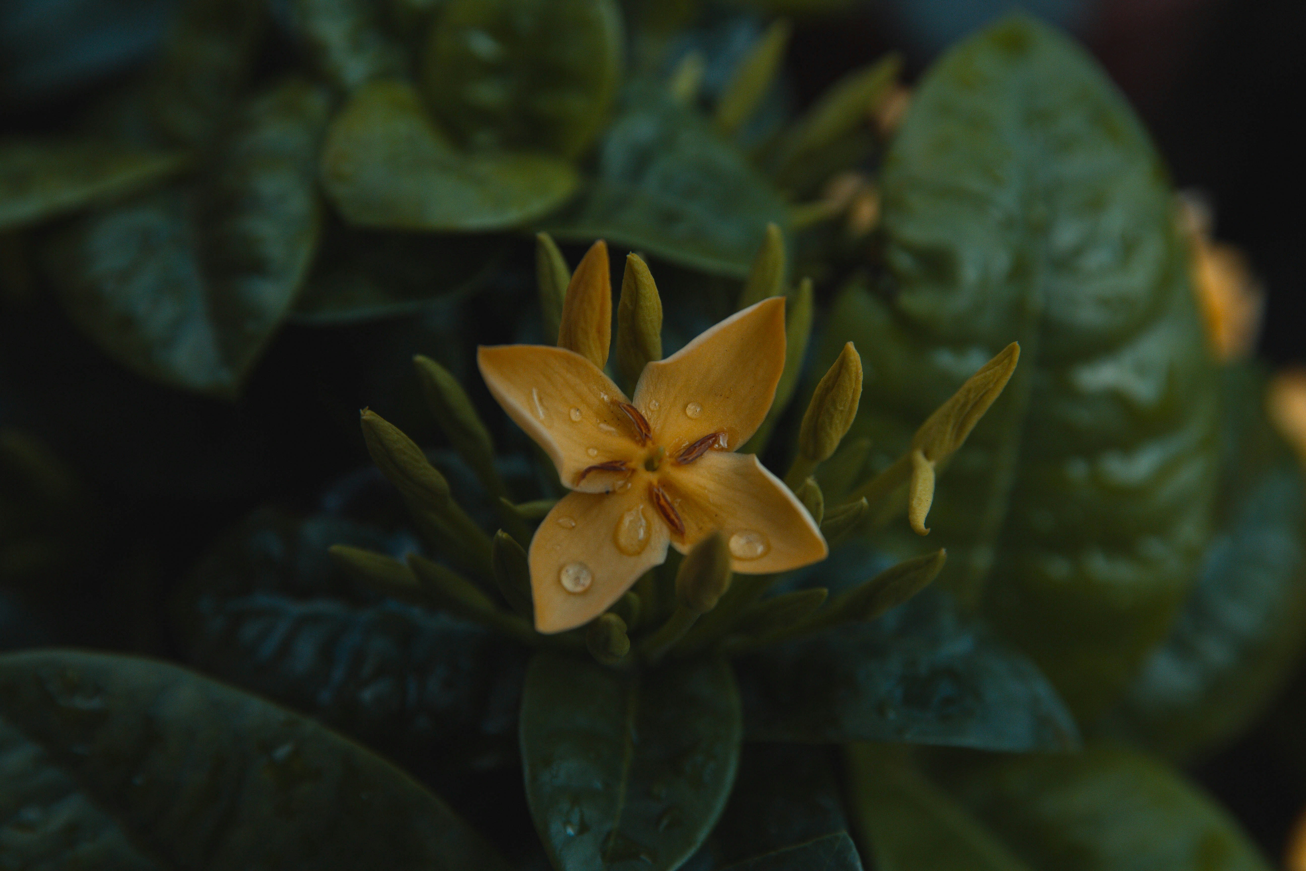 Photo by marcioidbrand