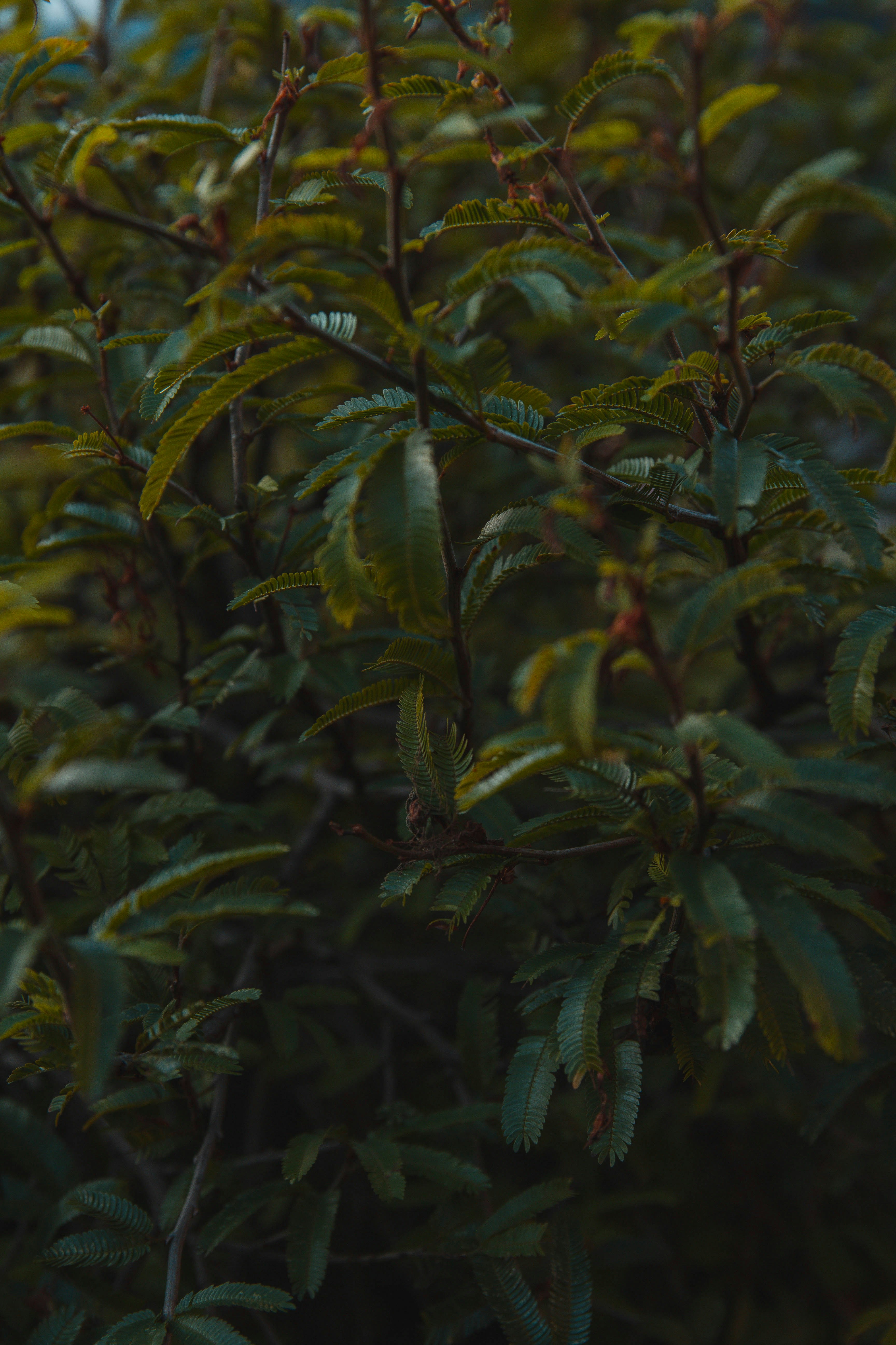 Photo by marcioidbrand