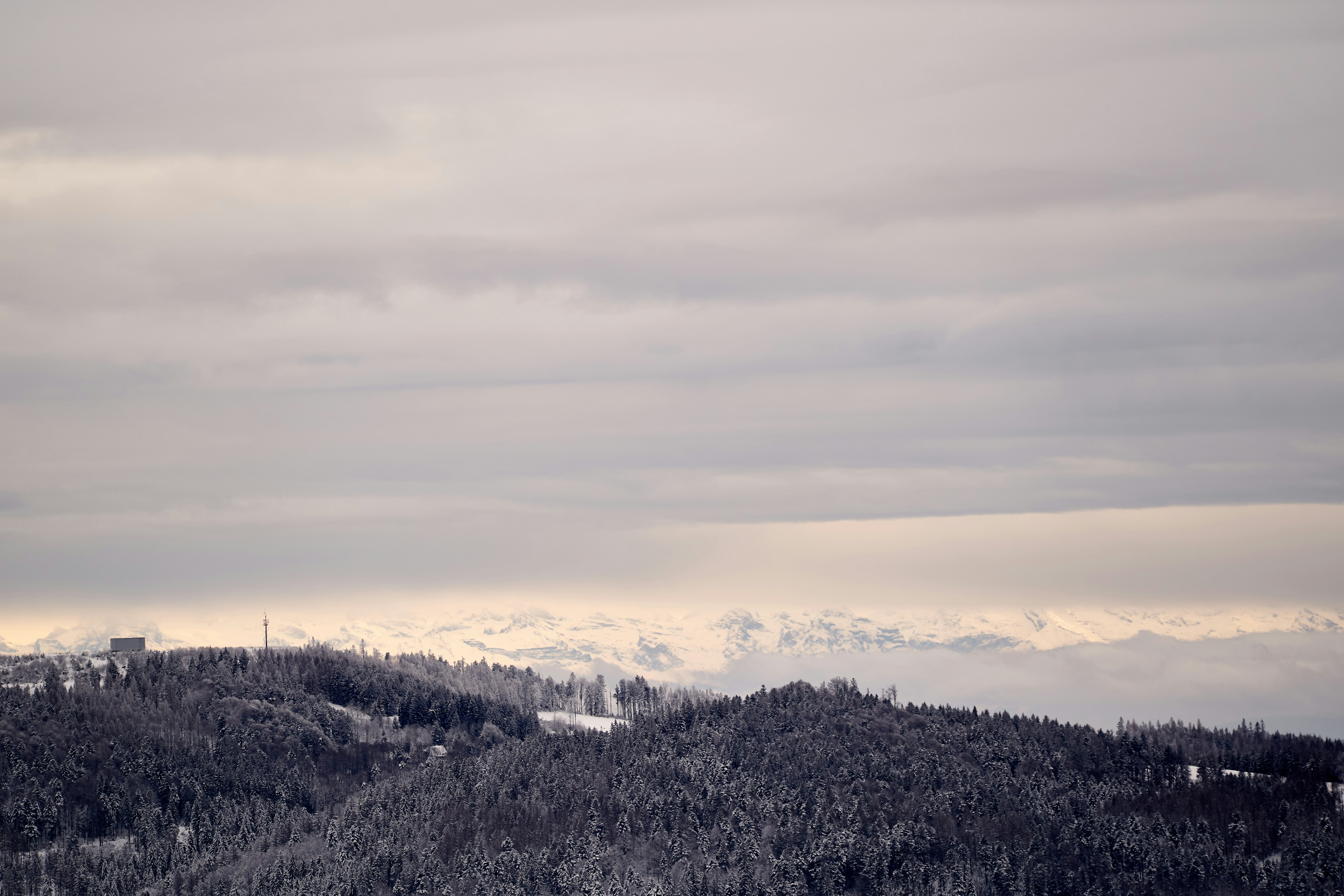 Photo by wolfgang_hasselmann