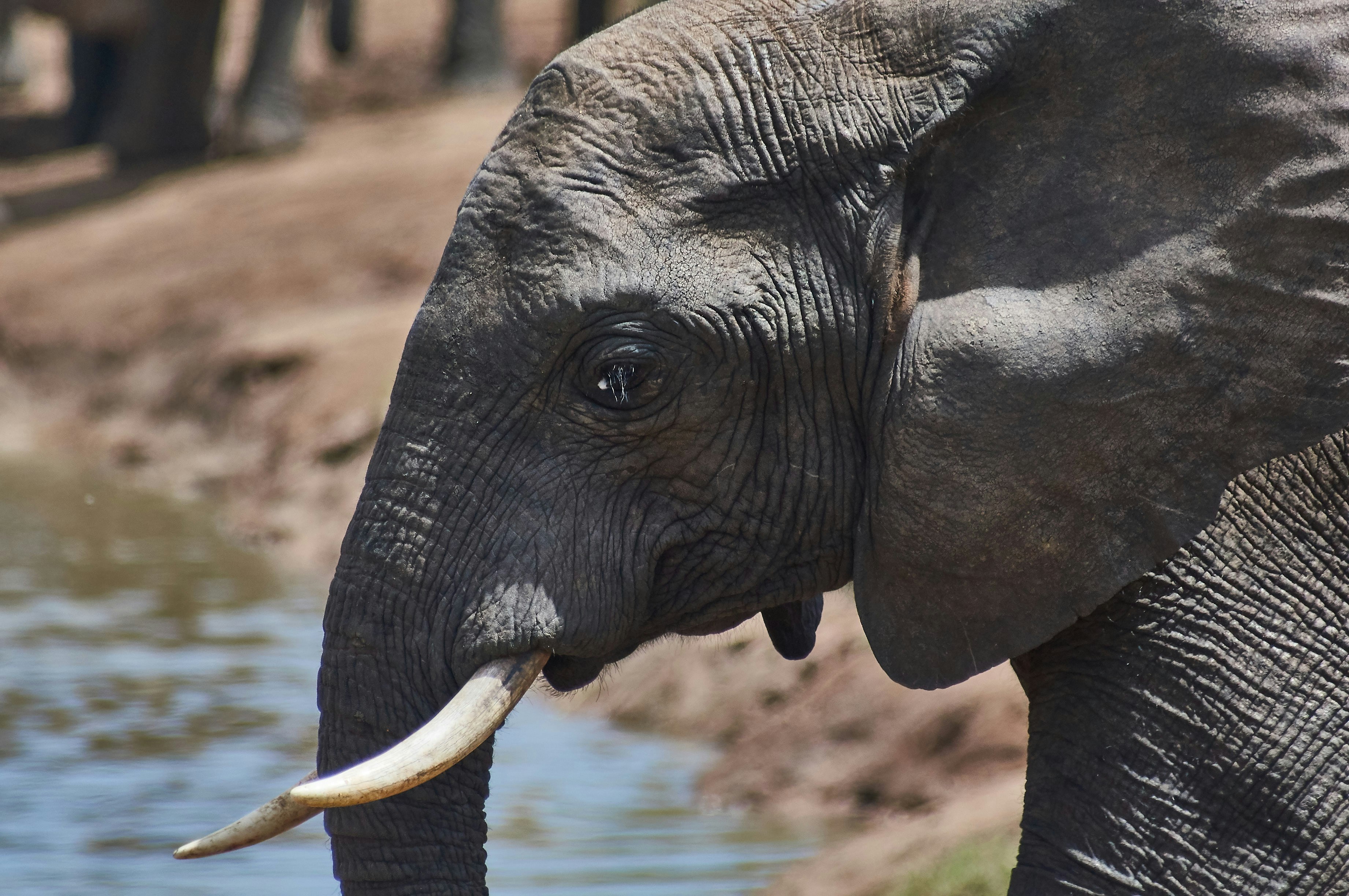 Photo by wolfgang_hasselmann