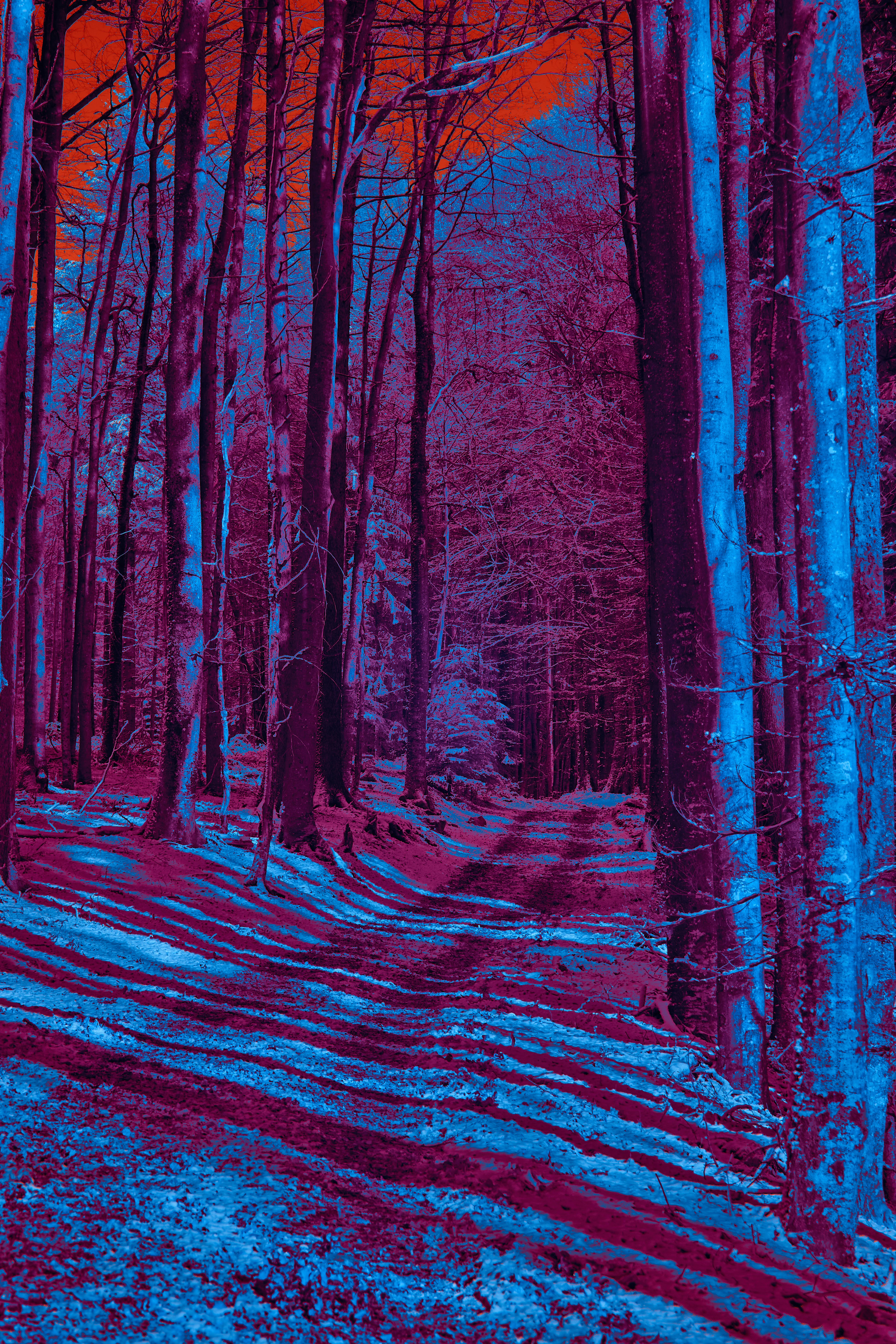 Photo by wolfgang_hasselmann