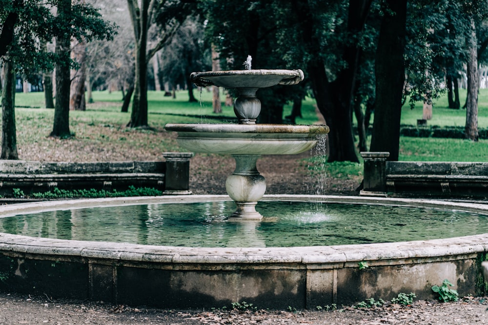 gray concrete outdoor fountain near green grass field during daytime