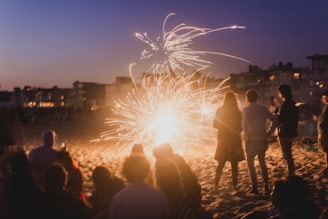 people watching fireworks display during night time