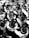 A large group of marching band members are playing instruments, all wearing uniforms with wide-brimmed hats and sporting logos on their jackets. The image is in black and white, creating a visually striking pattern with the uniformity and repetition of the figures and instruments.