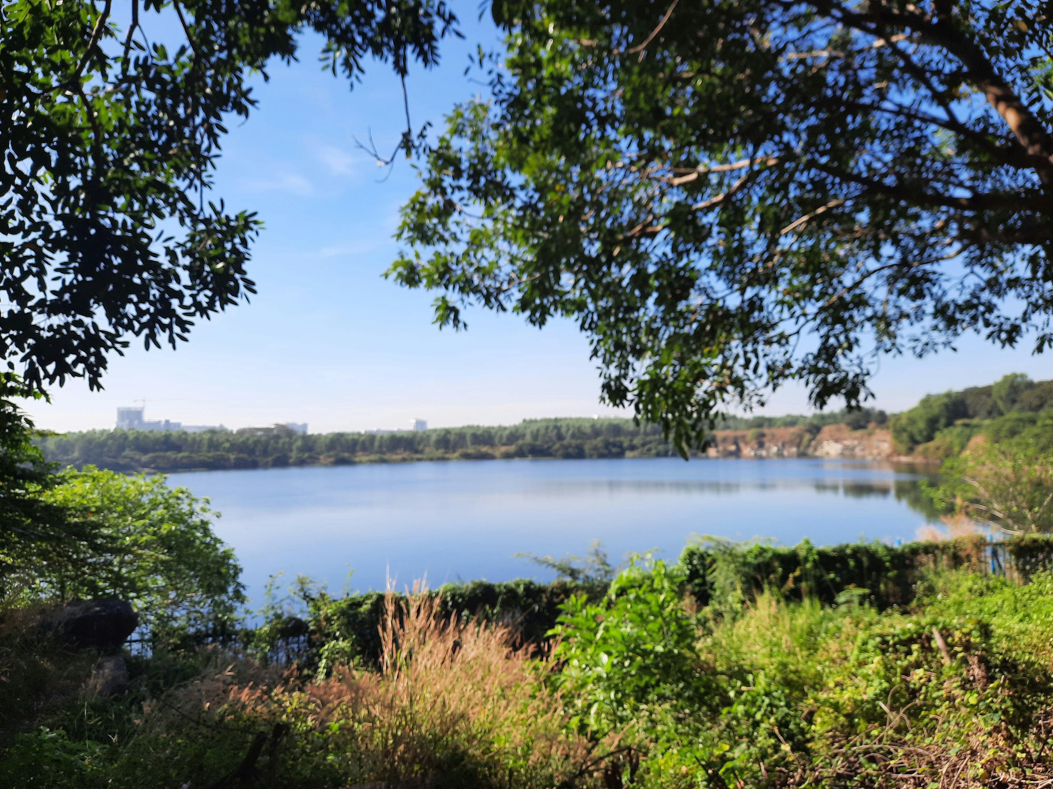 Photo by pieterestmp4