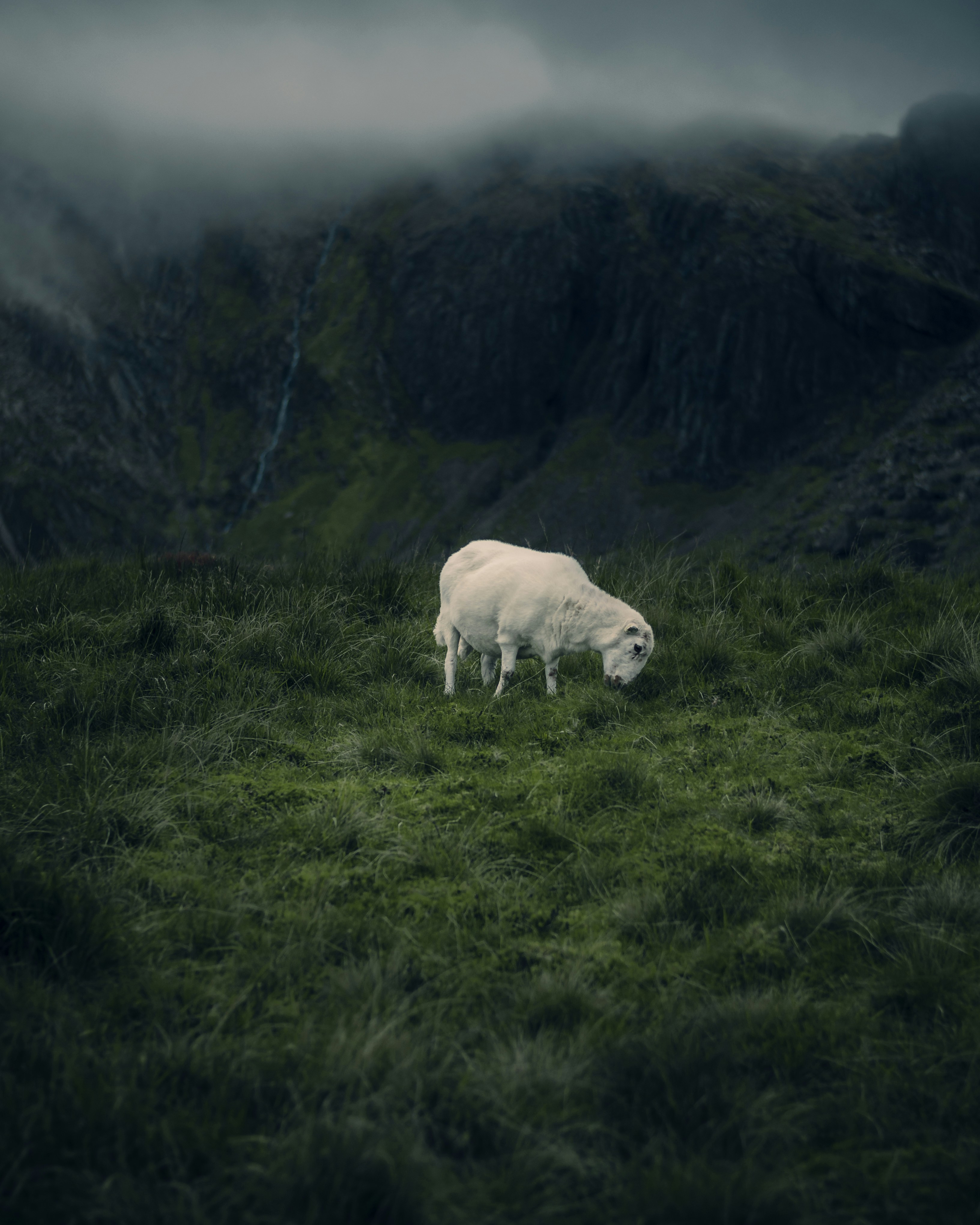 Photo by richgriffiths89