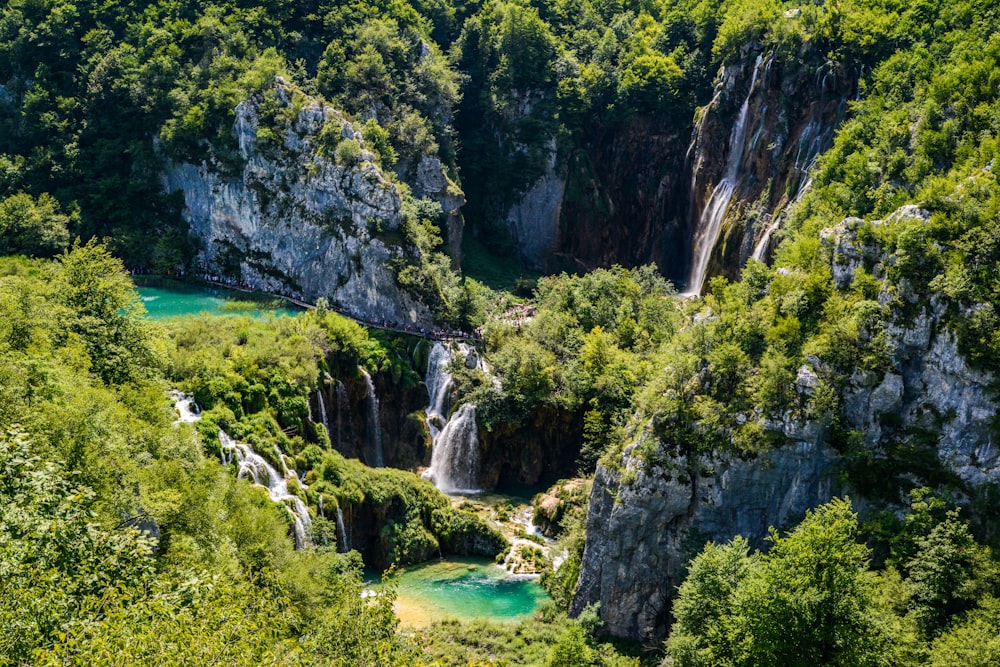 árboles verdes junto a un cuerpo de agua azul durante el día