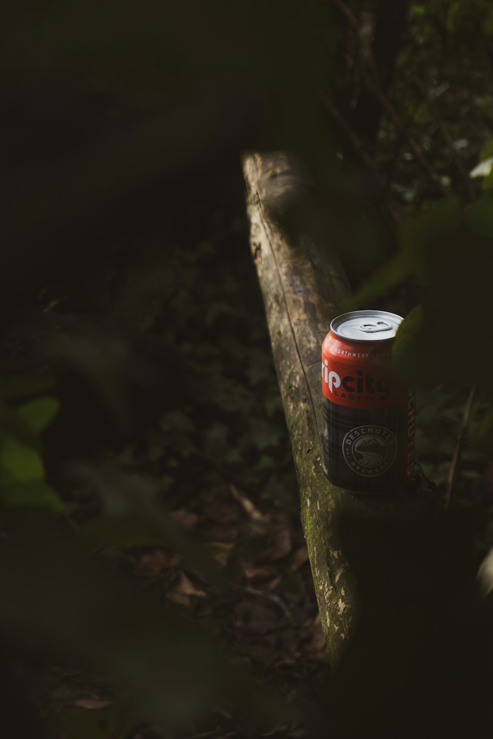 coca cola can on brown tree trunk