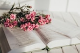pink flowers on book page