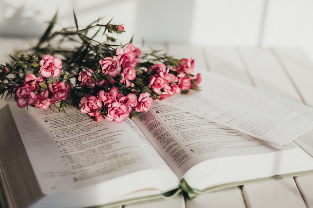 pink flowers on book page