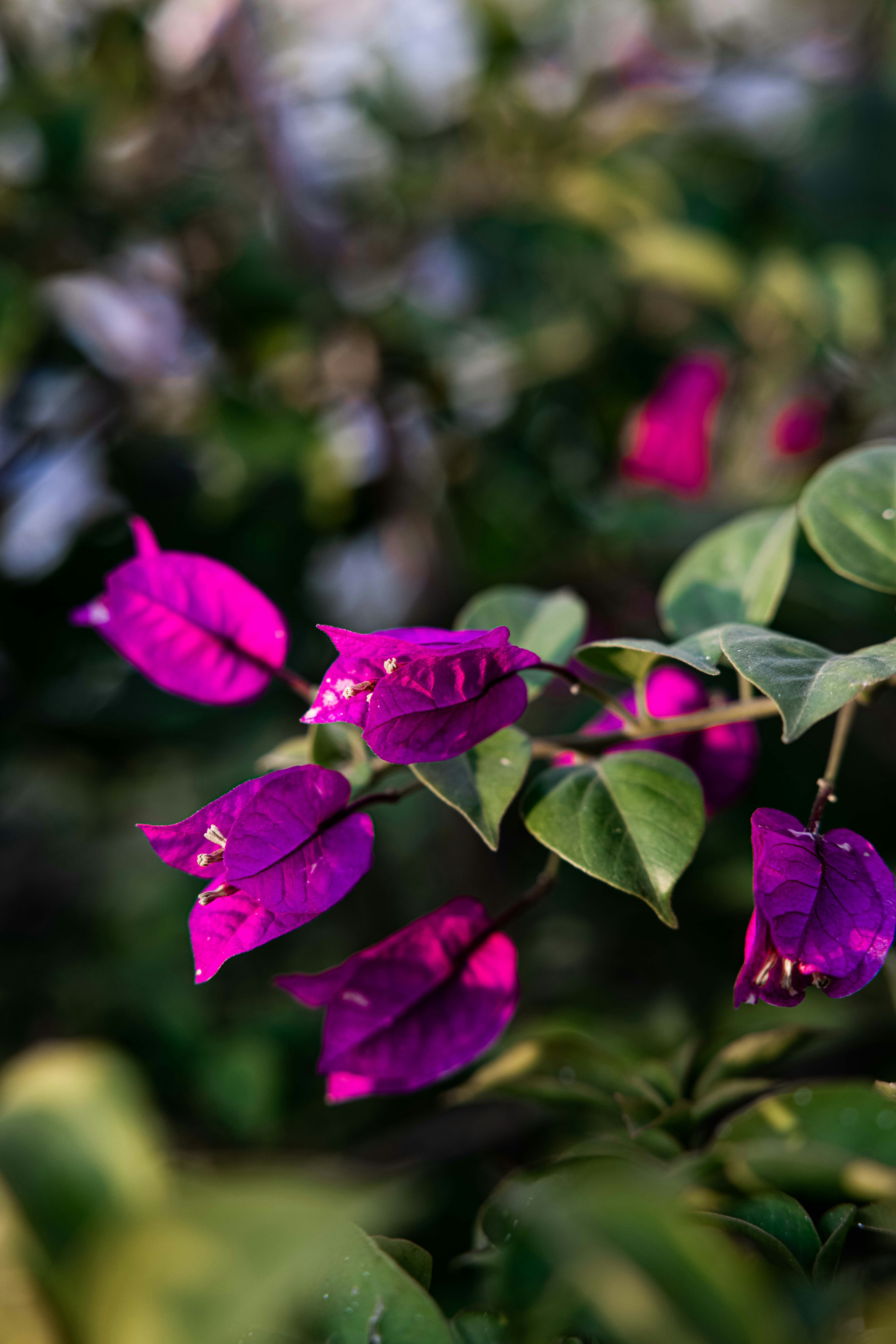 Photo by wenhui_qiying