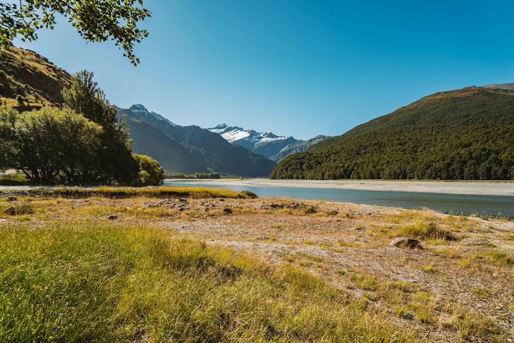 Grünes Grasfeld in der Nähe von See und Bergen tagsüber