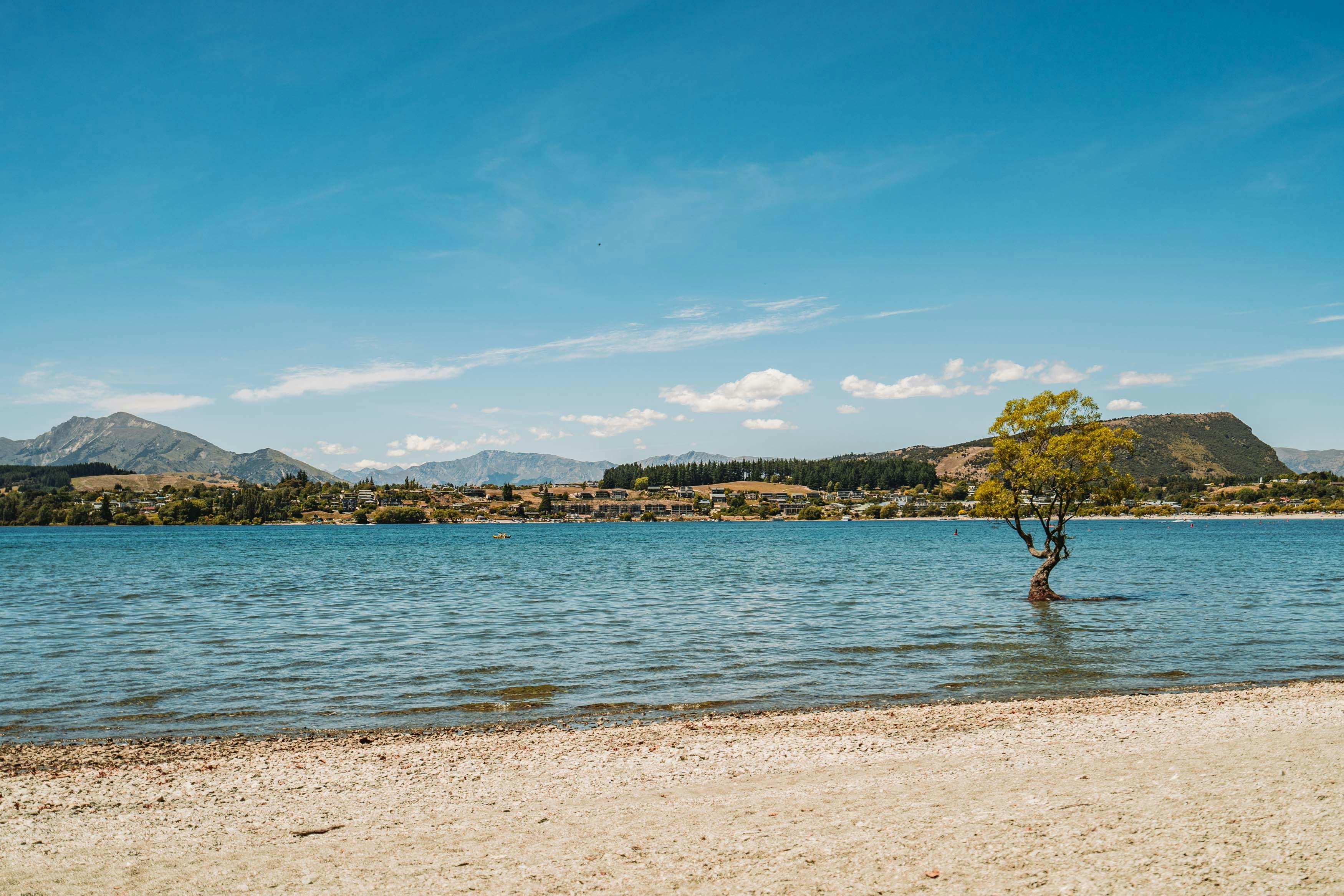people on beach during daytime, 