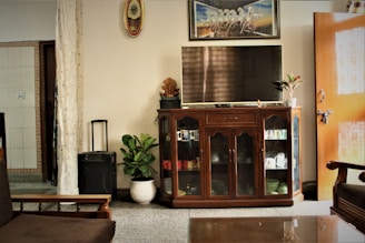 A living room interior with a focus on a wooden cabinet featuring glass doors. On top of the cabinet is a flat-screen TV and a small decorative plant. An artwork hangs above the TV. A potted plant sits to the left of the cabinet beside a small speaker. The room includes a sofa with visible armrests, a partially open wooden door on the right, and a curtain separating one area from another. A decorative clock is mounted on the wall.
