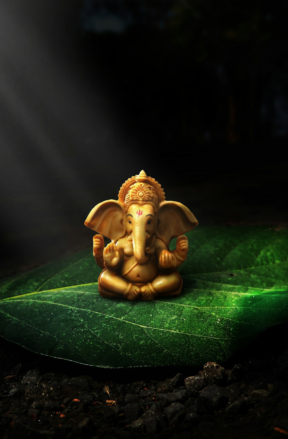 Gold dragon figurine on green leaf photo – Free India Image on ...