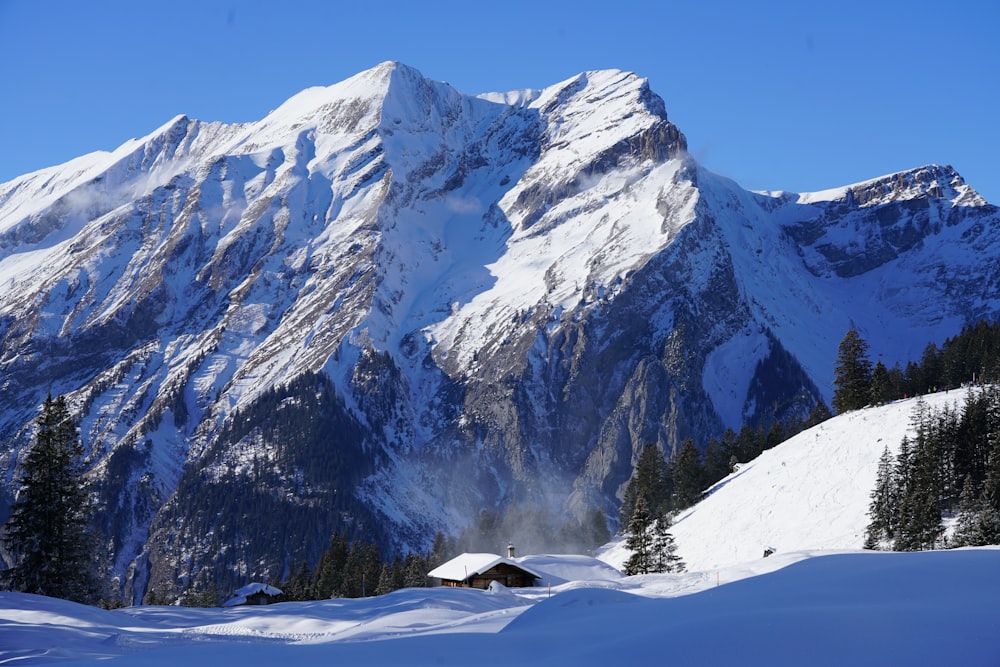 snow covered mountain during daytime