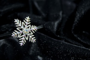Snowflake Pin