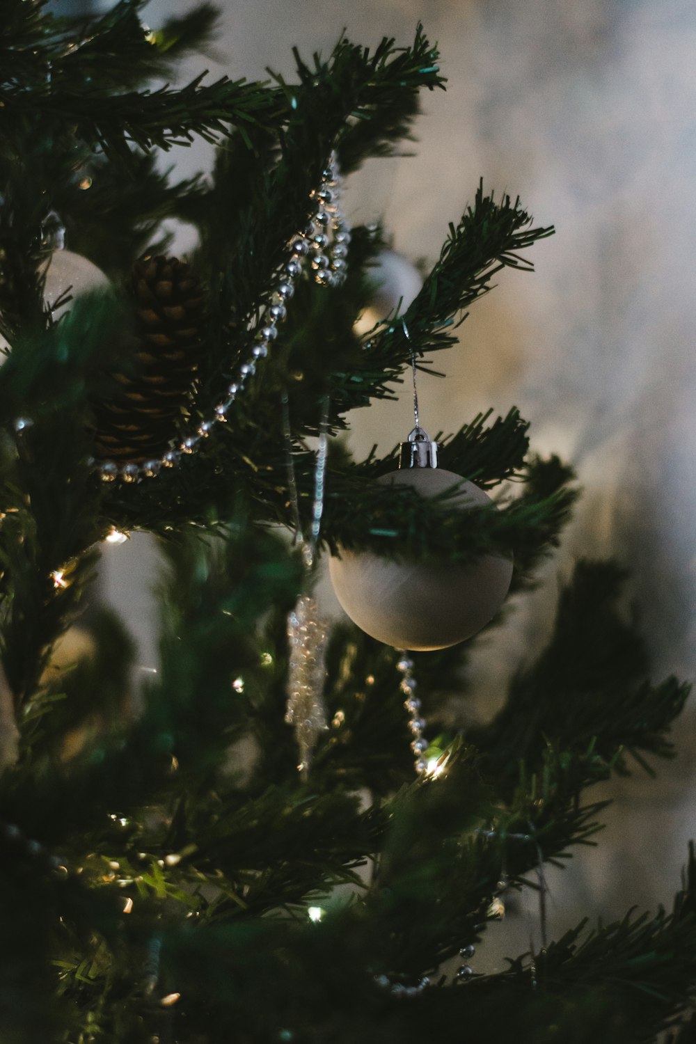 white and blue bird on green tree branch