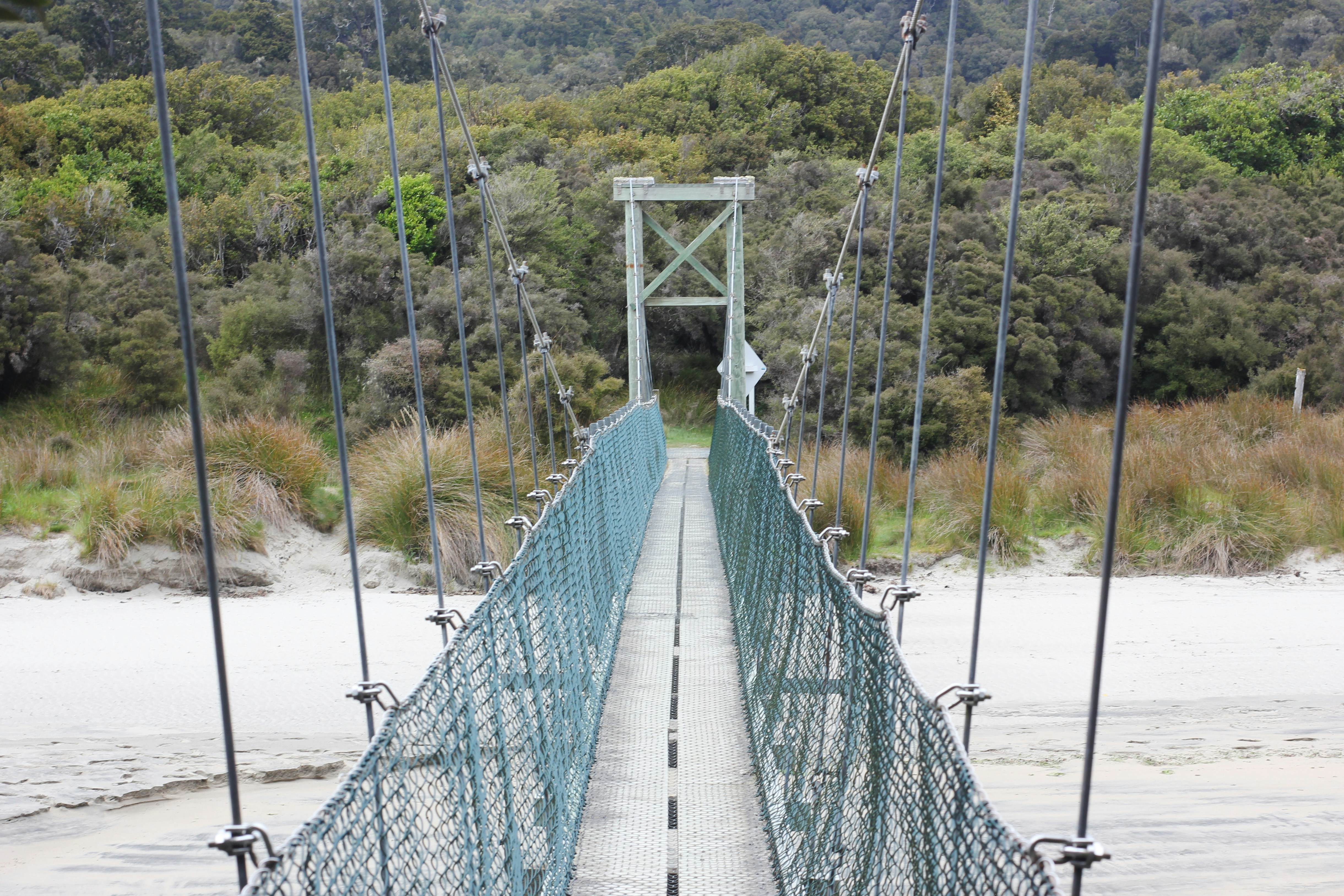 blue and white hanging bridge