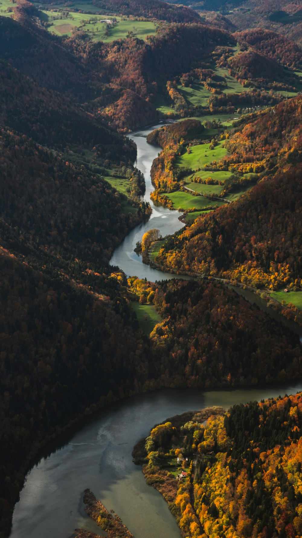 river between green trees during daytime