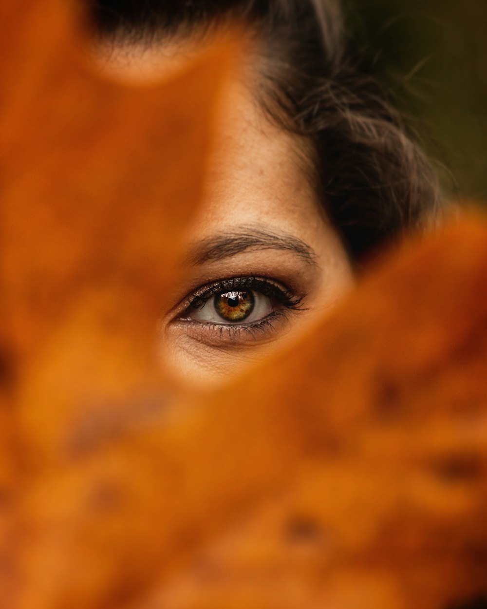 womans eye with brown eyes