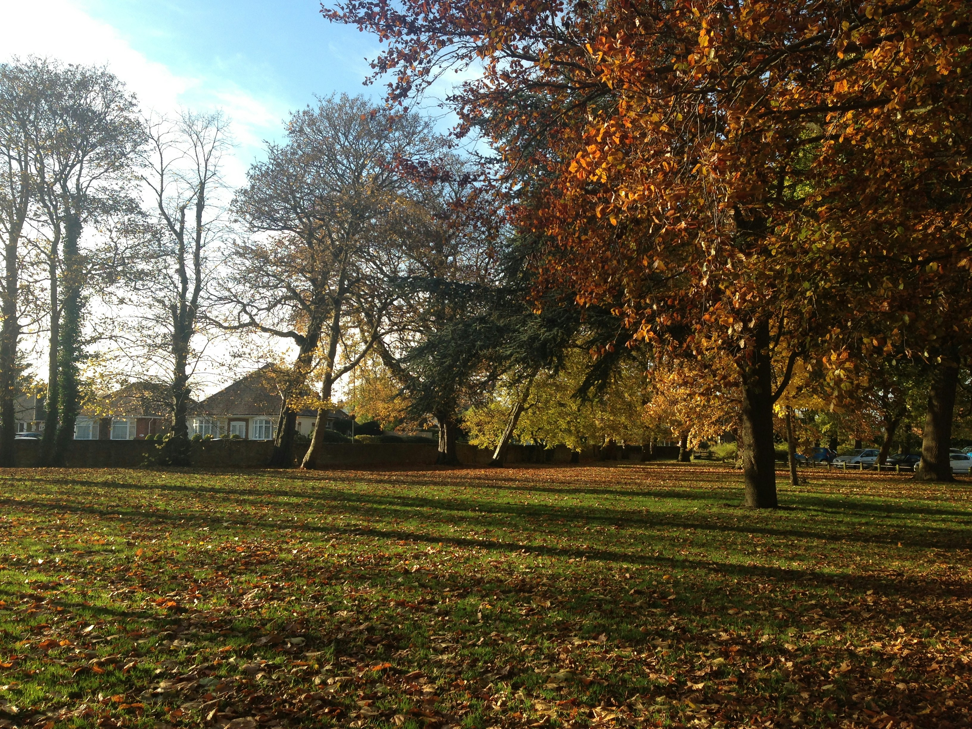 Photo by starlight86