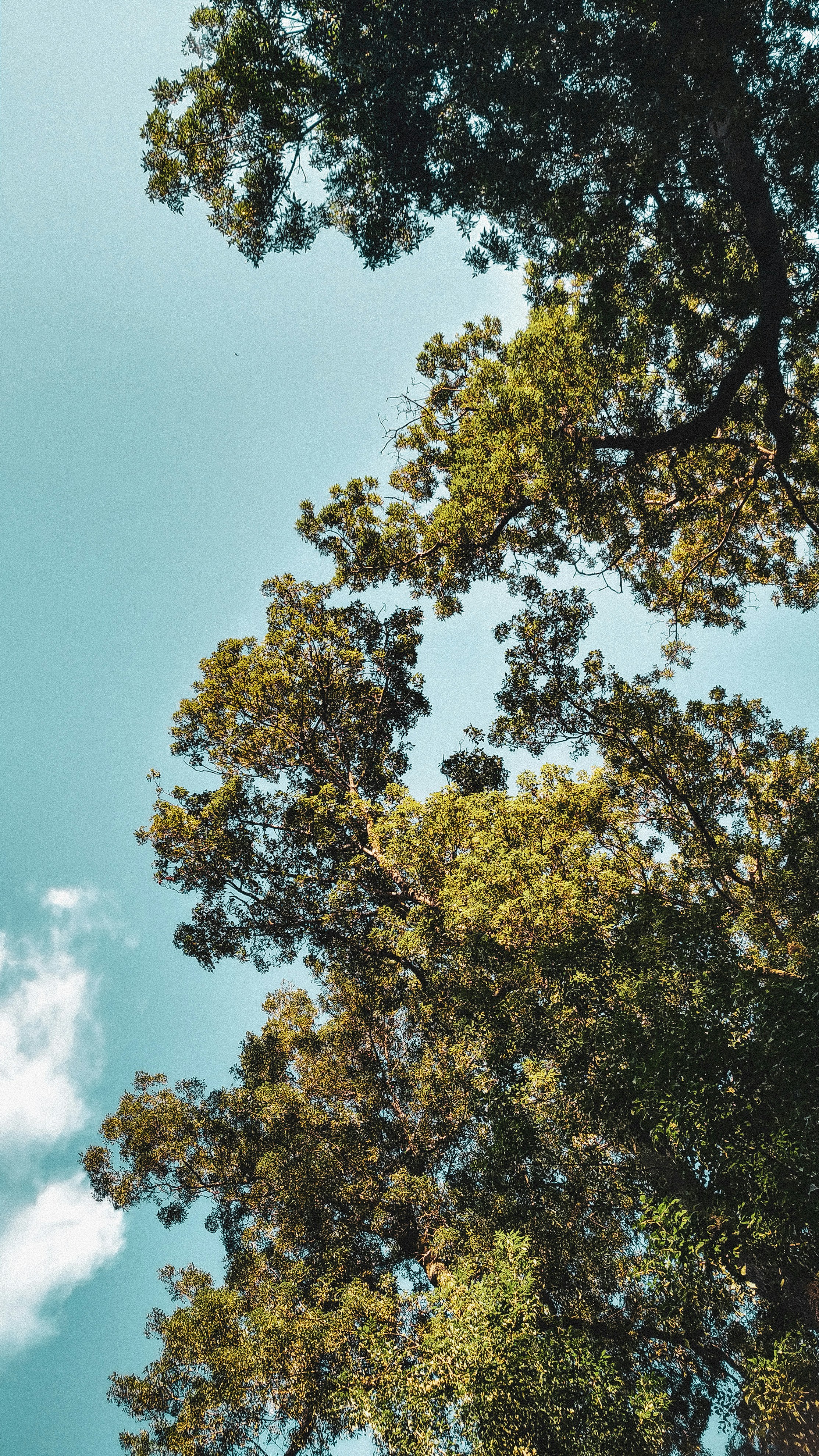 Photo by melihkrhmet