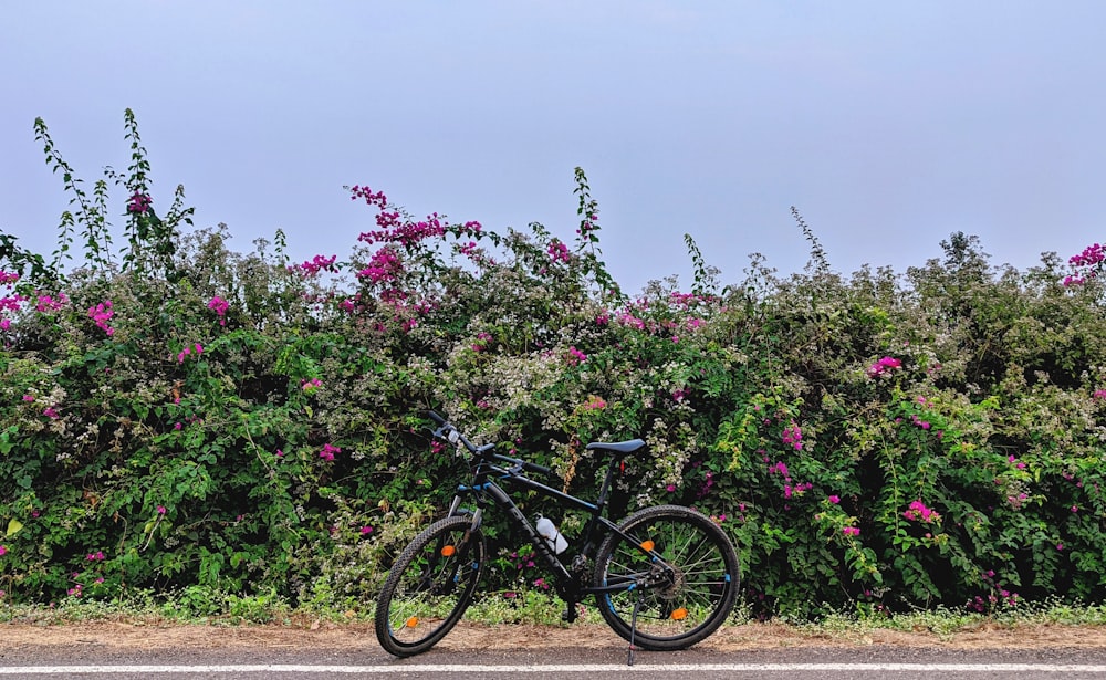 black bicycle parked beside pink flowers during daytime