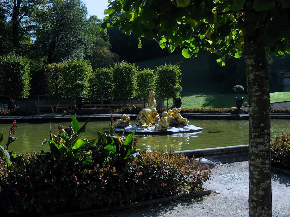 green trees near body of water during daytime