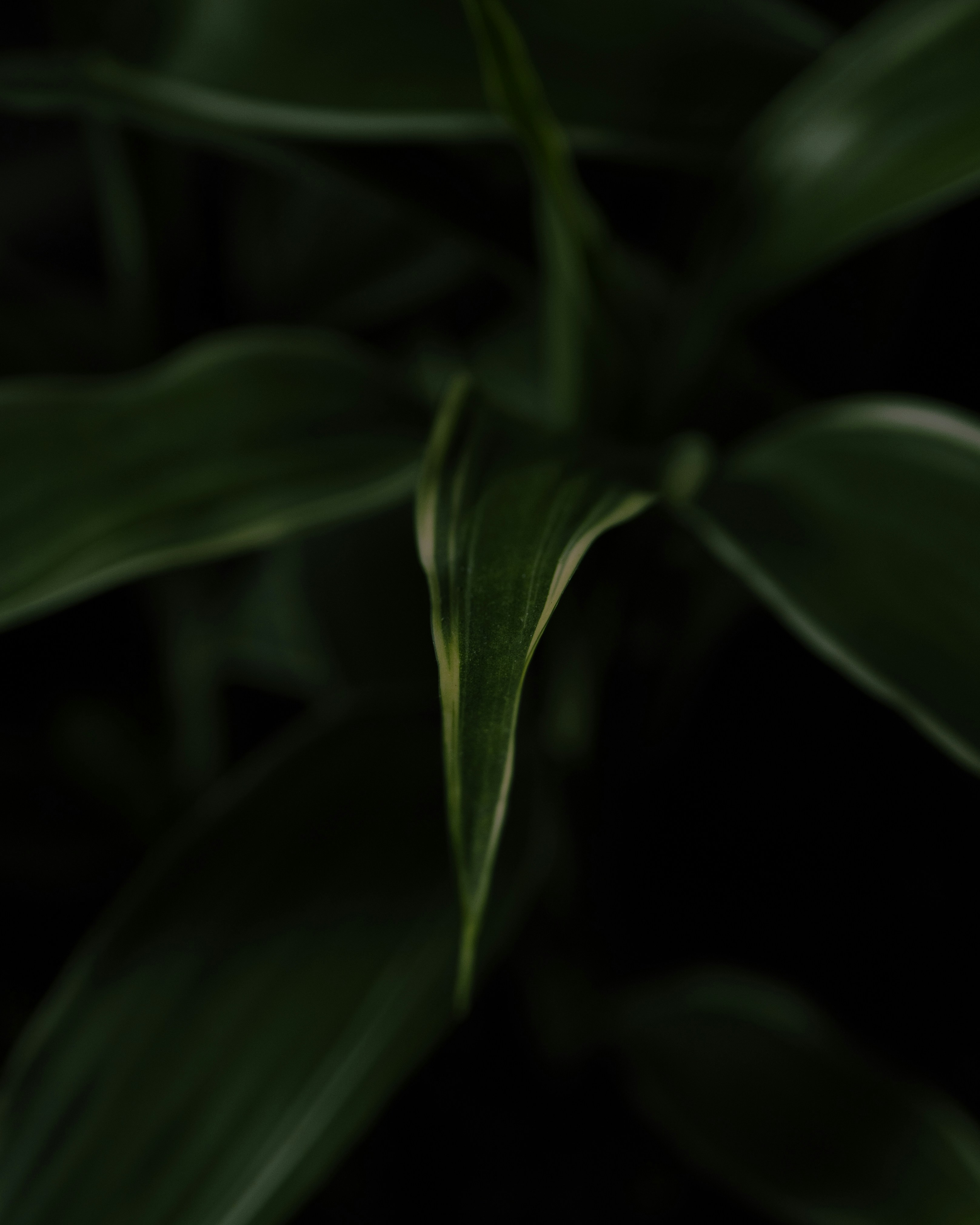 Photo by storybyphil