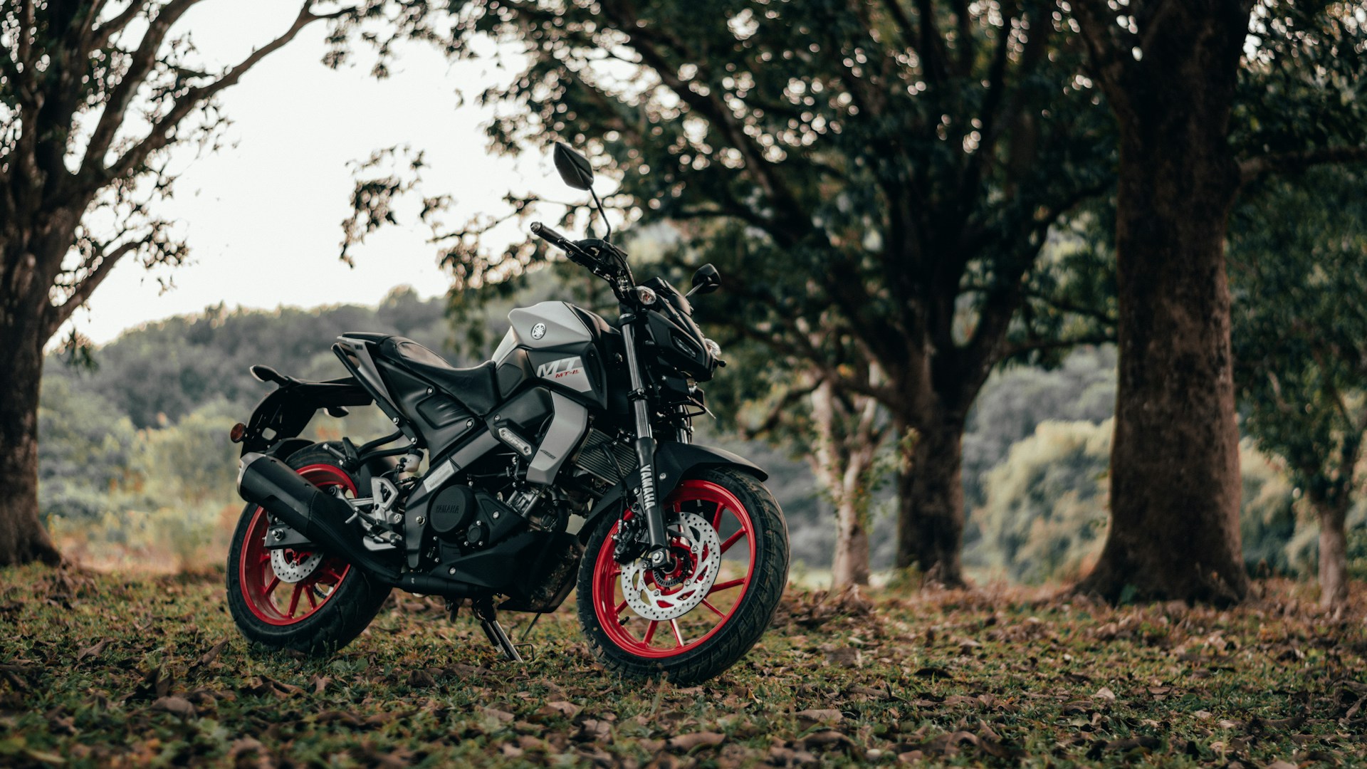 black and red motorcycle parked on brown grass field during daytime