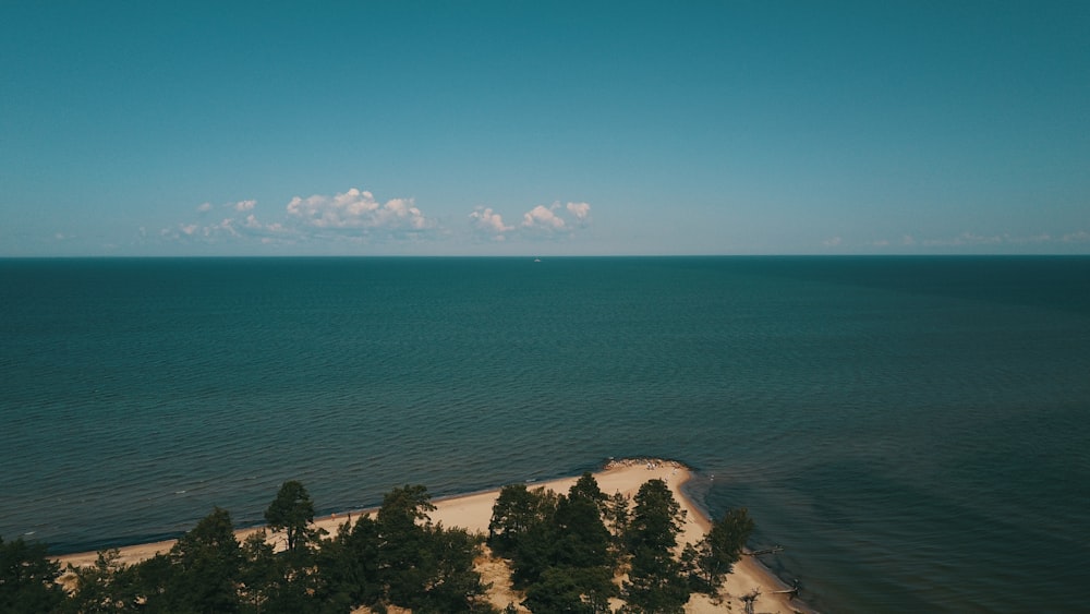 green trees near blue sea under blue sky during daytime