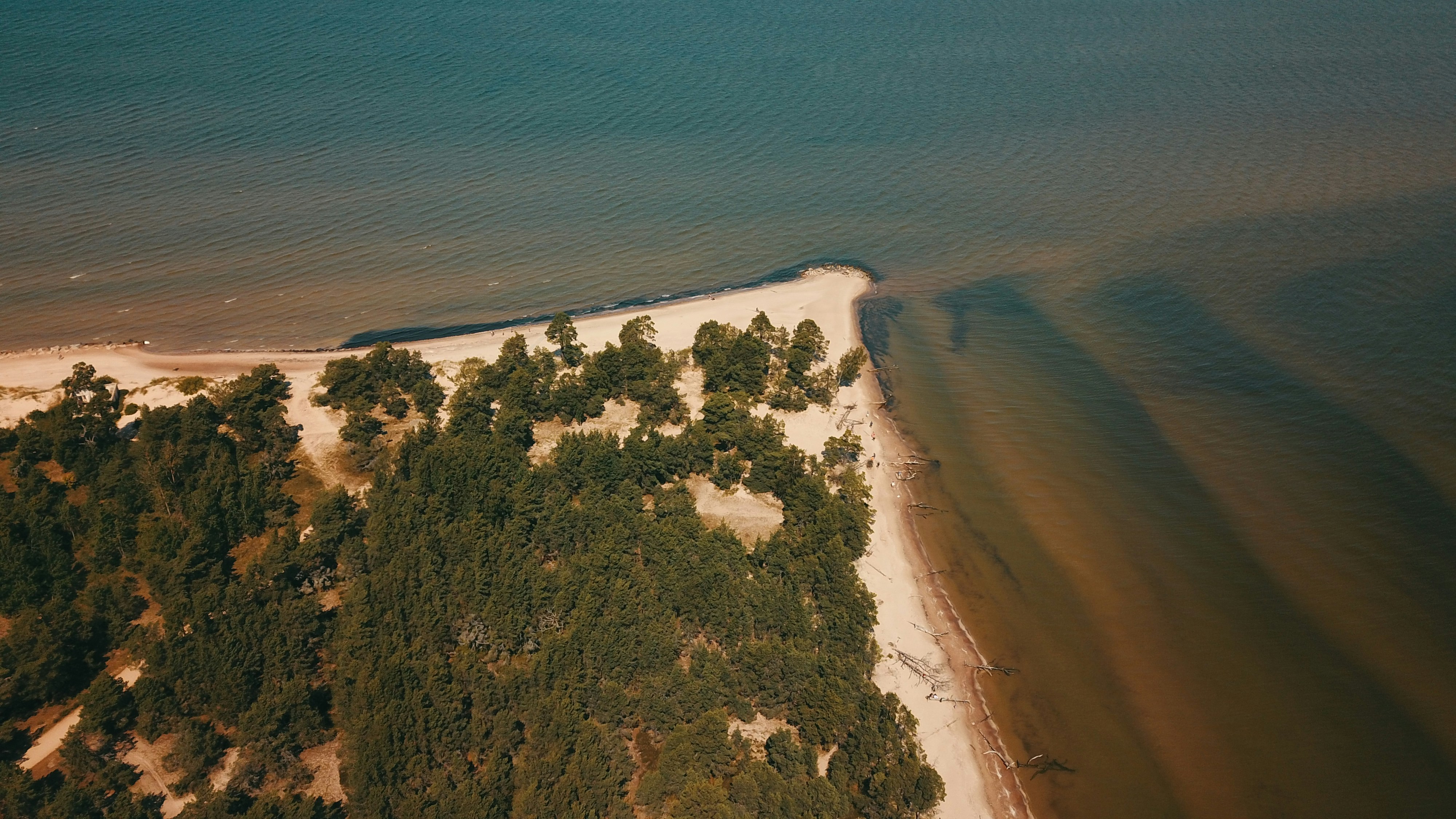 aerial view of green trees beside body of water during daytime, Aerial view of cape Kolka, Baltic sea, Latvia. Summer view
