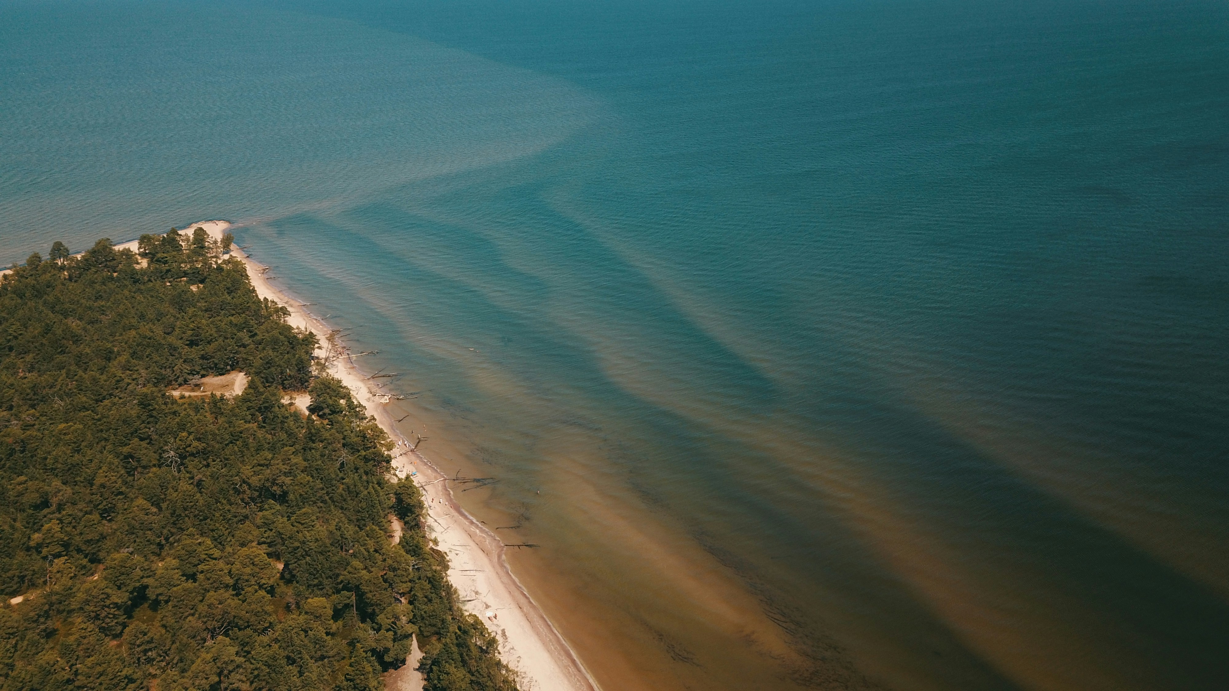 Photo by raimondklavins