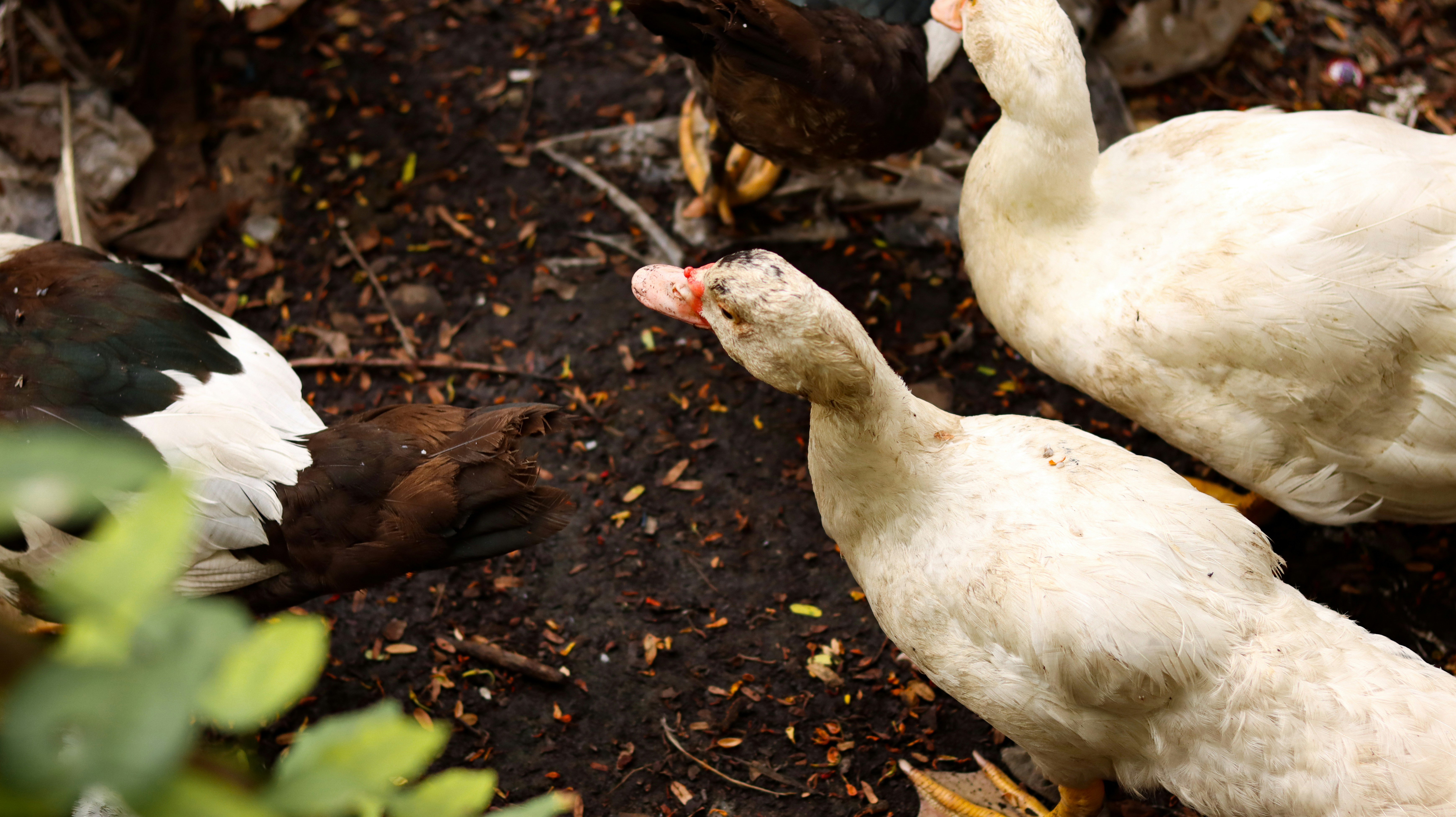 Photo by sunwindrain