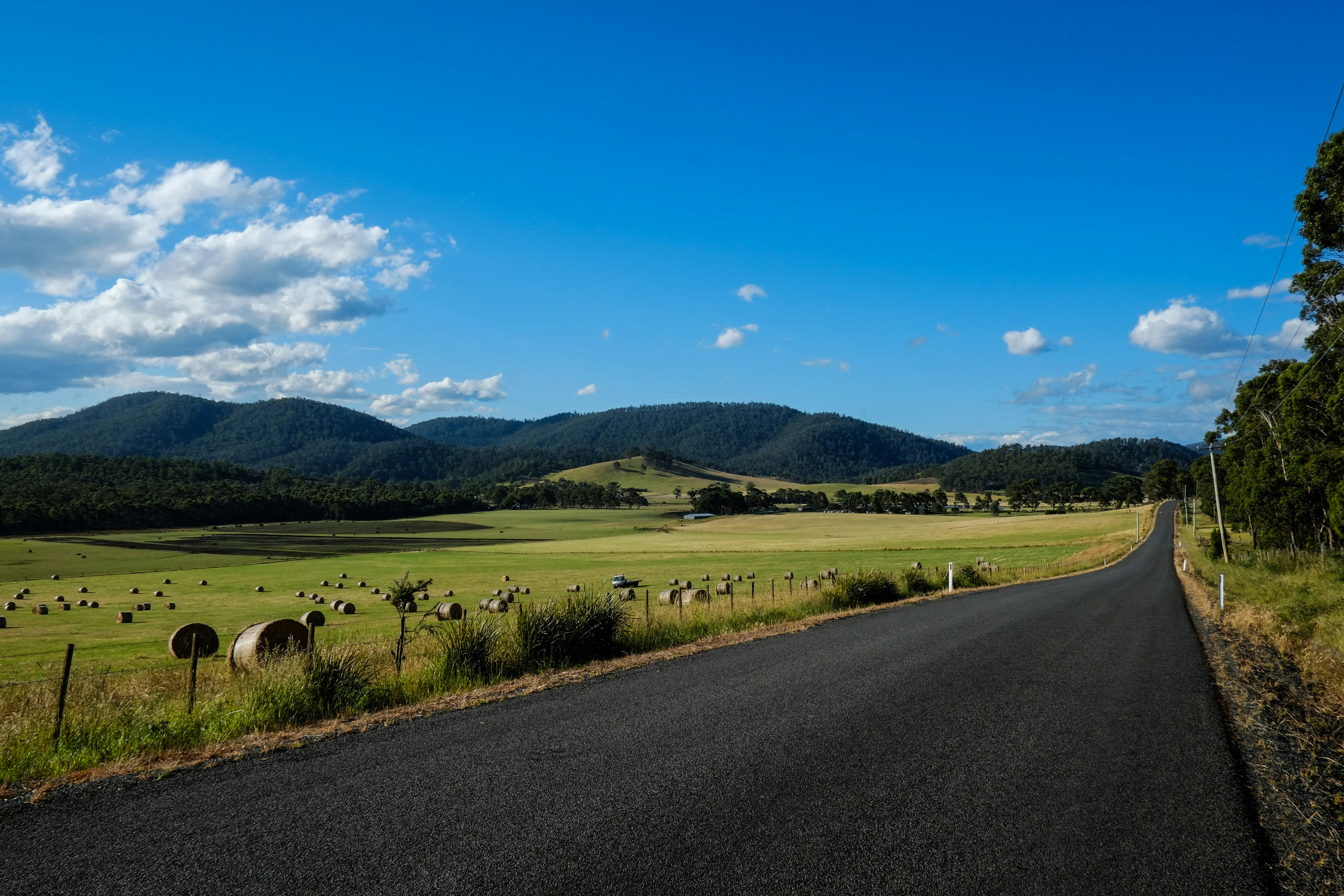 campo di erba verde vicino alla strada sotto il cielo blu durante il giorno