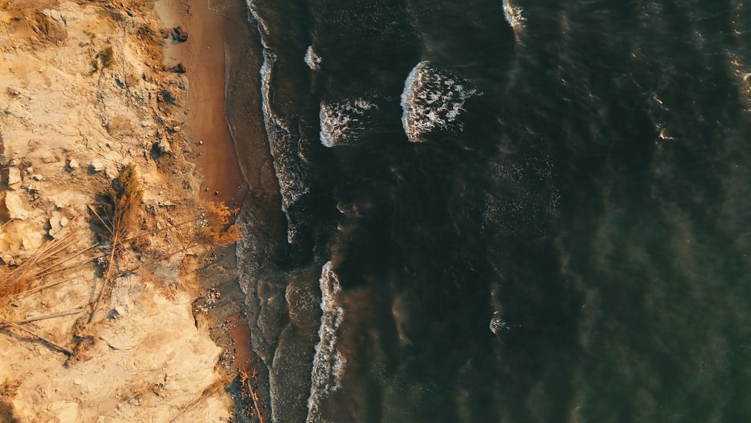 brown rocky shore during daytime