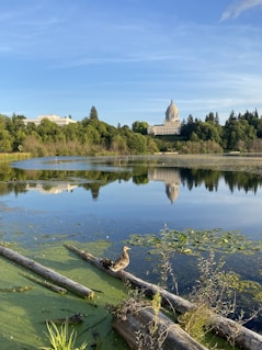Olympia, WA Capitol Lake and Capitol building