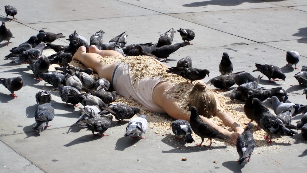 woman lying on white sand beach with black and white penguins