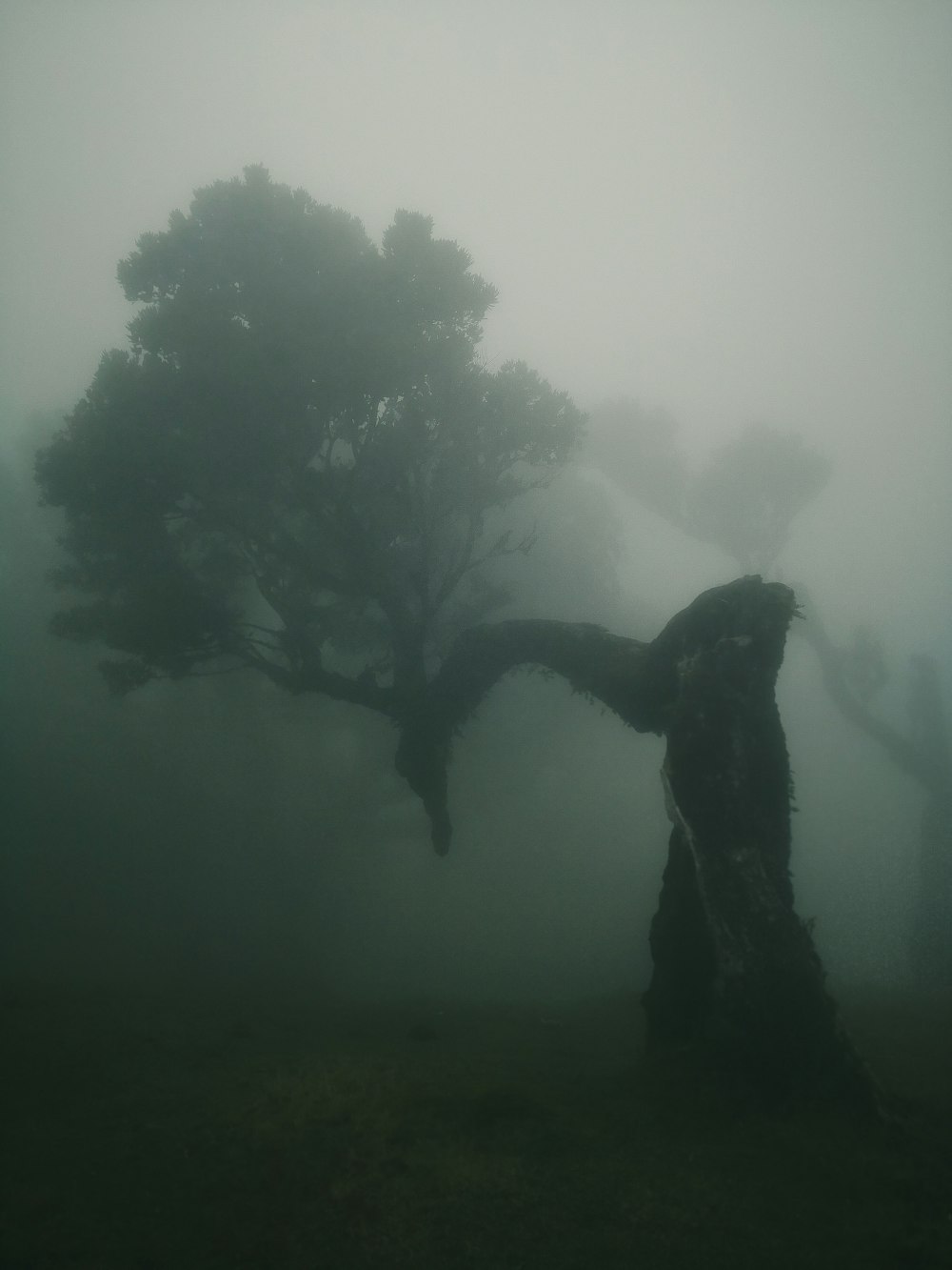 silhouette of man in water