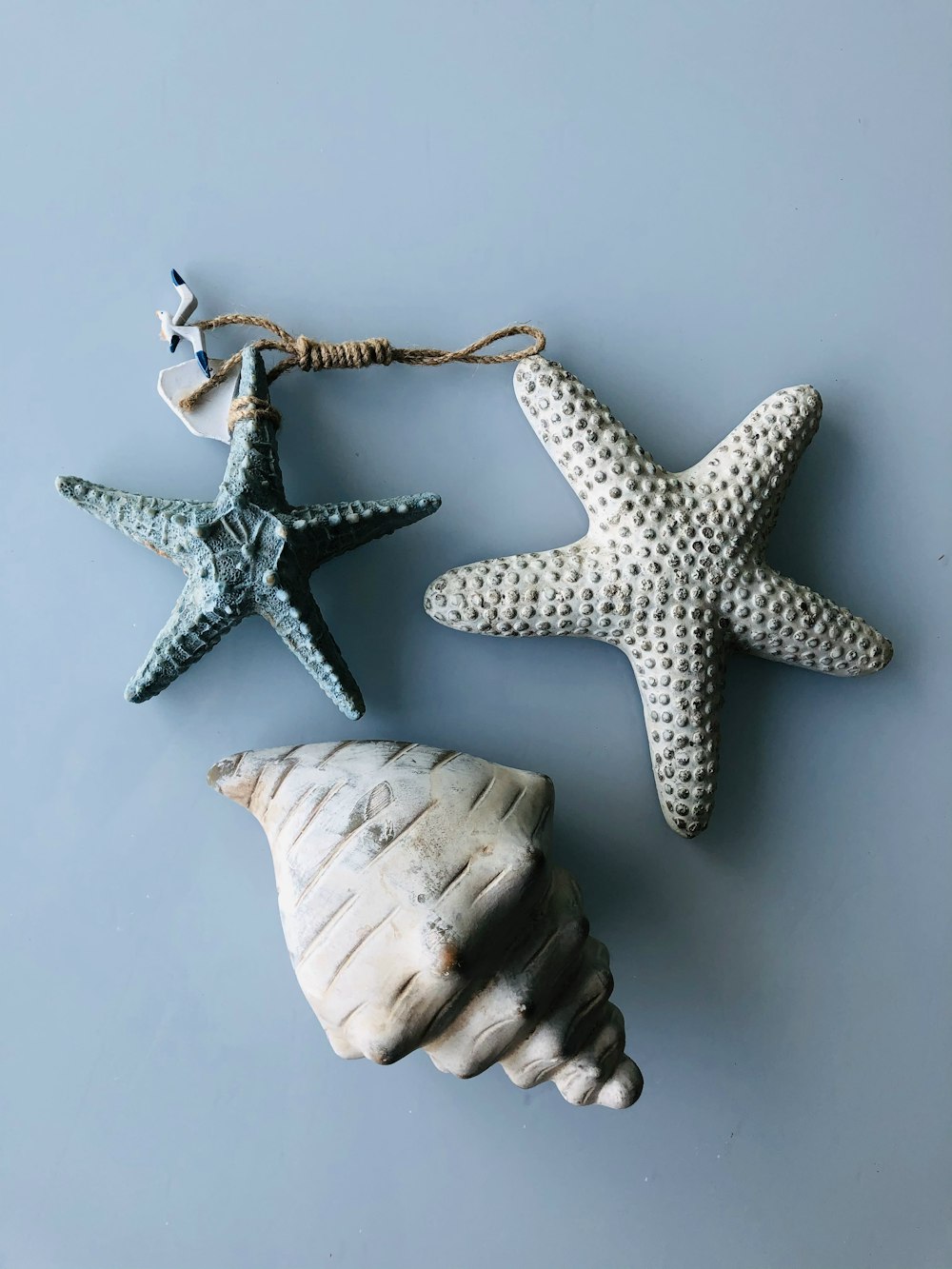 white starfish beside white starfish